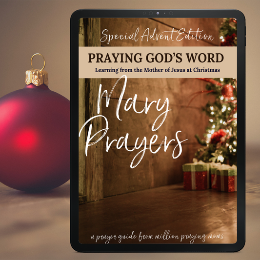 (SPECIAL EDITION) Mary Prayers: Learning from the Mother of Jesus  at Christmas