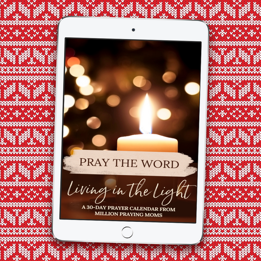 Living in the Light Prayer Calendar